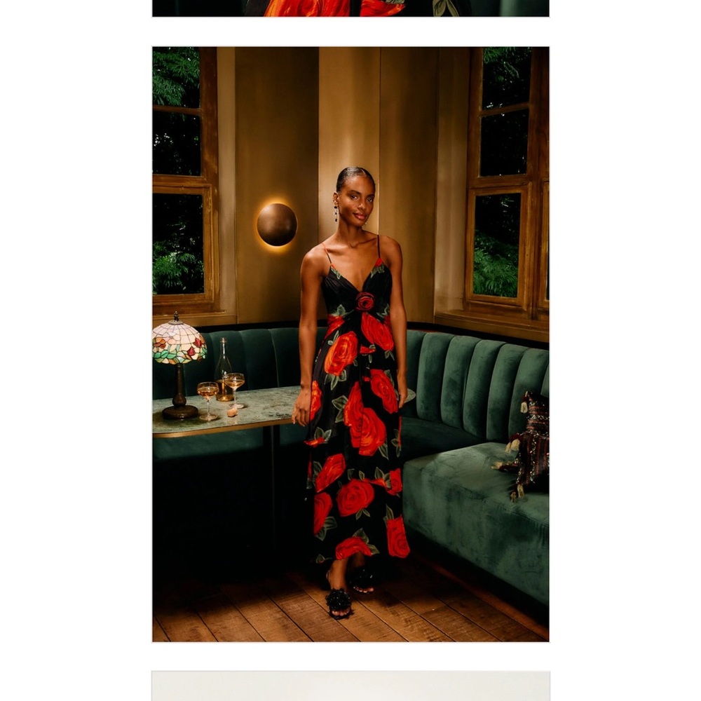 Black Latin Roses 3d Flower Layered Maxi Dress